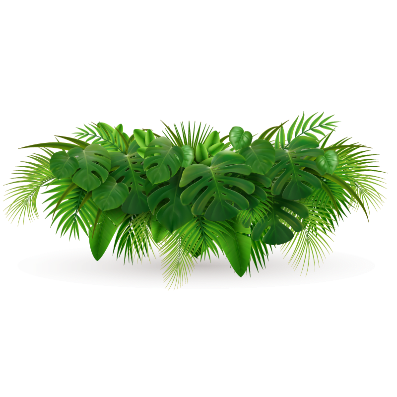 PLANTA